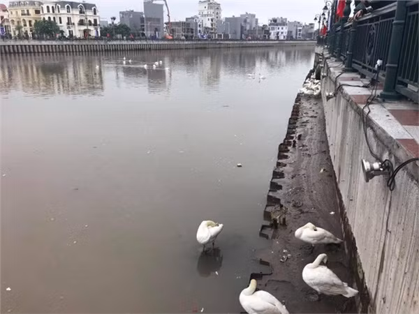 Không chỉ đưa ra ý kiến bình luận suông, dân mạng còn đưa ra dẫn chứng đàng hoàng là những bức ảnh chụp ở hồ Tam Bạc, chưa qua chỉnh sửa để so sánh với những bức hình đã được photoshop kỹ càng trên Fanpage đó.