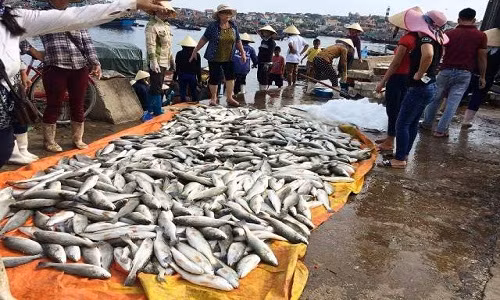 Thanh Hoa: Gan 50 tan ca chet bat thuong trong dem