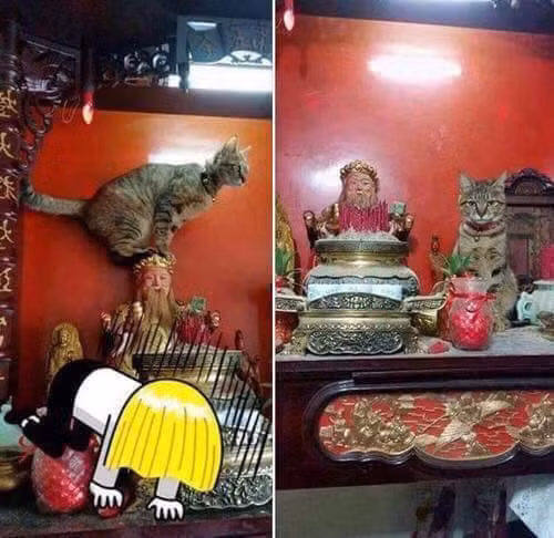 "Ông cho con mượn đầu ông chút. Con làm vị trí soi con chuột nhắt phá bữa ăn của con. Con hứa xong việc con xuống ngay".