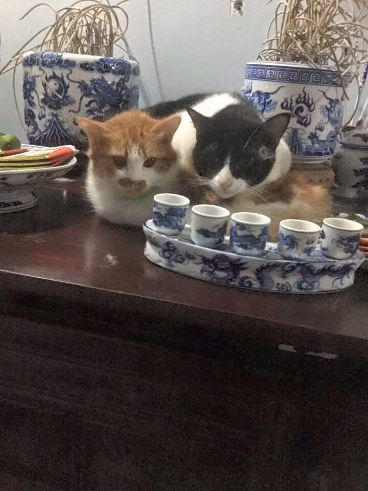 Đã bất kính với thánh thần thì cũng phải có bạn.
