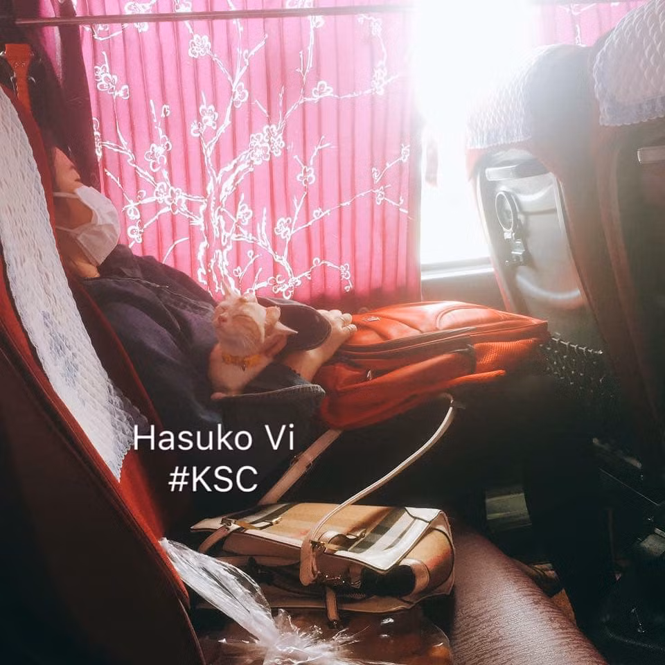Do xe khách cấm mang vật nuôi lên xe nên nhiều bạn trẻ đã nghĩ ra cách "giấu" các "boss" vào balo.
