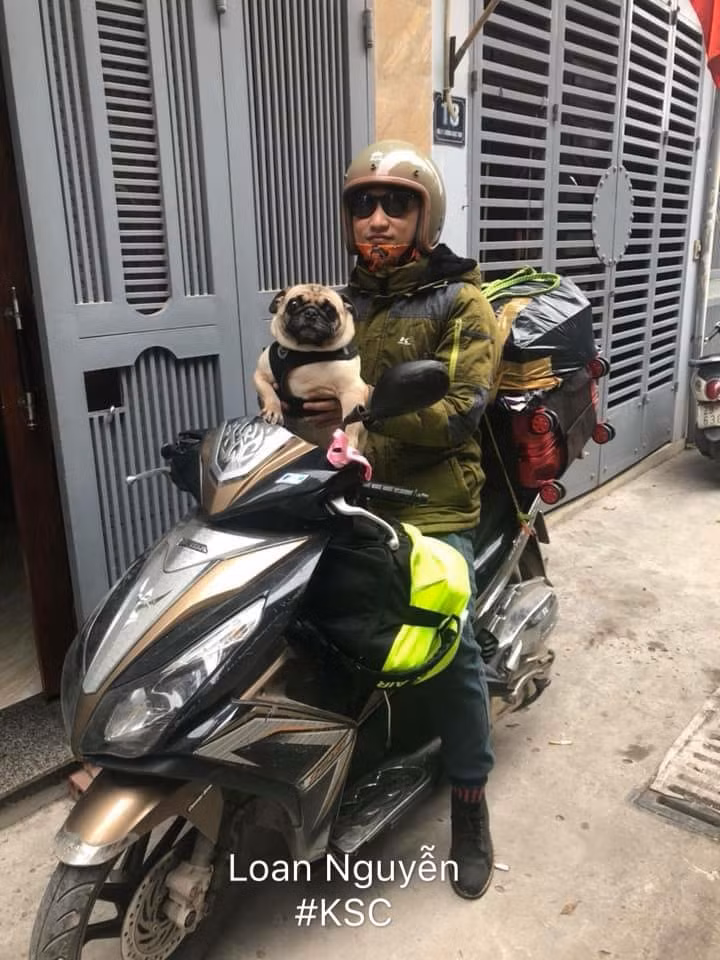 Với nhiều bạn trẻ, việc di chuyển trong dòng người về quê ăn Tết là điều vô cùng khó khăn. Nhưng khi phải mang thêm những chú thú cưng đi theo quả là vô cùng bất tiện.