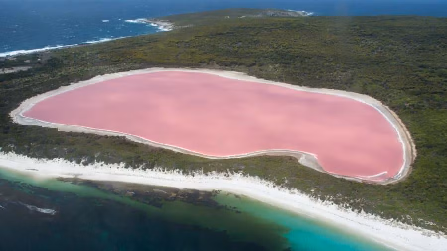 6. Hồ Hillier, Australia: Chỉ cách bờ cát của bãi biển Middle Island tại quần đảo Recherche vài mét, nhưng màu hồng kỳ lạ ở hồ Hillier khác xa với màu nước trong xanh của đại dương. Nguyên nhân là vì loại tảo dunaliella salina đặc biệt sinh trưởng bên trong hồ, chúng tạo nên các sắc tố biến nước mặn trở thành màu hồng khác xa với tự nhiên.