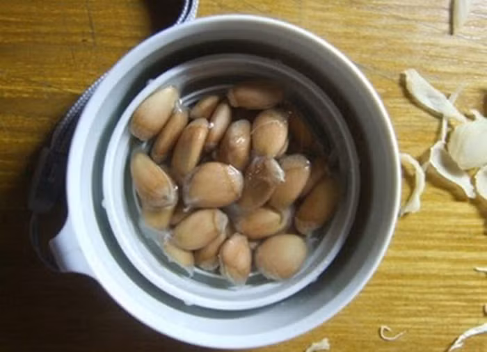Theo các nhà khoa học, các loại hạt chanh, cam, bưởi có những dưỡng chất giúp giảm hấp thu cholesterol và lipid, cầm máu, chống táo bón, phòng chống sự gia tăng đường huyết ở người bị bệnh tiểu đường, chữa bệnh tim mạch cực tốt. Vì thế dân gian từ xưa đã dùng các loại hạt chữa bệnh rất tốt. Ảnh: Thoibao.