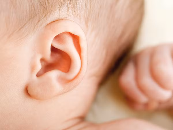 2. Tai: Thường xuyên lấy ráy tai cho trẻ sẽ khiến tai trẻ bị nhiễm trùng. Thực ra những thứ bẩn trong tai trẻ có thể tự rơi ra ngoài, mẹ chỉ cần lấy tăm bông chấm vào dầu ô liu rồi khẽ khàng lau tai cho con sau khi tắm là được. Nếu như bé nhiều ráy tai quá thì nên đưa đến bệnh viện để các bác sĩ làm vệ sinh tai chứ không được tự động xử lý. Ảnh: MarryBaby.vn.