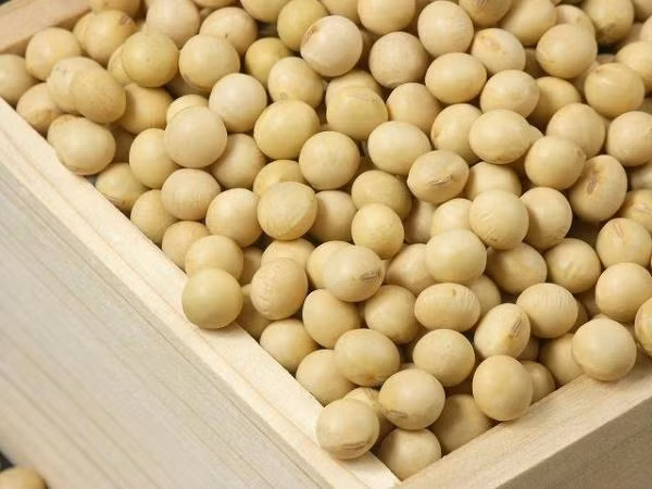 8. Cách rang hạt đậu nành. Nguyên liệu: Đậu nành, muối. Ngâm đậu nành trong khoảng 2 -3 giờ. Rửa sạch lại bằng nước sạch rồi dùng máy sấy tóc sấy khô hạt. Cho chảo lên bếp, rang muối sao cho thật nóng. Ảnh: yan.vn.