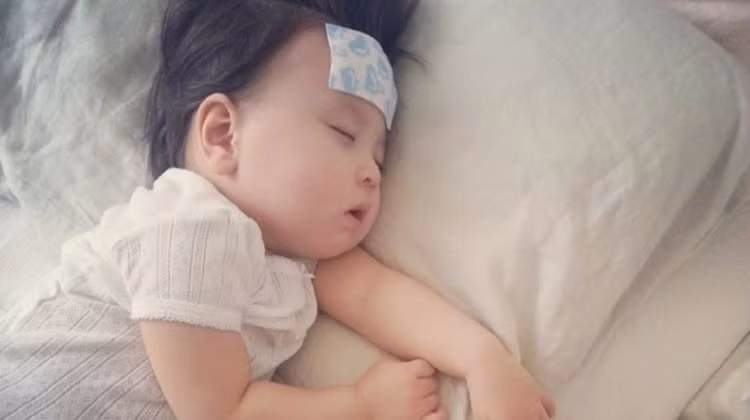 Chữa sốt cao: Sài đất 20 – 50g, giã nát, pha với nước uống, bã đắp vào lòng bàn chân có tác dụng giảm sốt nhanh chóng. Ảnh: Eva.vn.