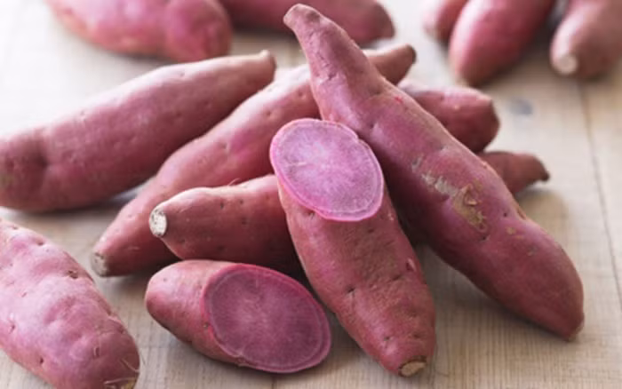 2. Khoai lang tím. Giàu chất mangan, canxi, vitamin A, B, choline... Khoai lang tím còn chứa nhiều chất chống oxy hóa nên rất tốt cho sức khỏe. Có thể dùng 1 củ khoai lang tím, 40g lá bồ công anh, mật mía giã nhuyễn gói vào vải mỏng đắp lên chỗ mụn nhọt. Ảnh: Songkhoe.