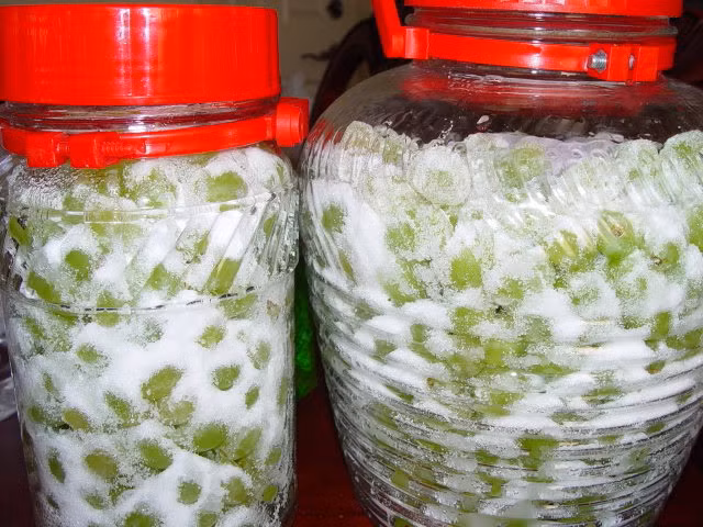 Lúc này khi nho và đường đã hòa quyện vào với nhau thì cho sang hũ để ngâm. Sử dụng một túi nilon sạch và đặt lên trên miệng hũ sau đó đặt nắp hũ vào nhưng chỉ vặn hờ cho quá trình lên men nhanh hơn. Sau khoảng 2 tuần mở nắp hũ rượu ra, đeo bao tay vào trộn đều hũ rượu nho và đậy nắp lại. Ảnh: chotnho.org.