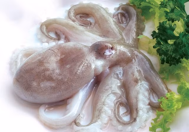 5. Salad bạch tuộc cải mầm. Nguyên liệu: Bạch tuộc, cần, rau cải mầm, chanh, dầu oliu, muối, tiêu, đường. Bạch tuộc rửa sạch, bỏ ruột. Chuẩn bị một nồi nước đun sôi. Khi nước sôi thì thả bạch tuộc vào nấu, nhỏ lửa, thỉnh thoảng đảo bạch tuộc. Ảnh: tingialai.com.