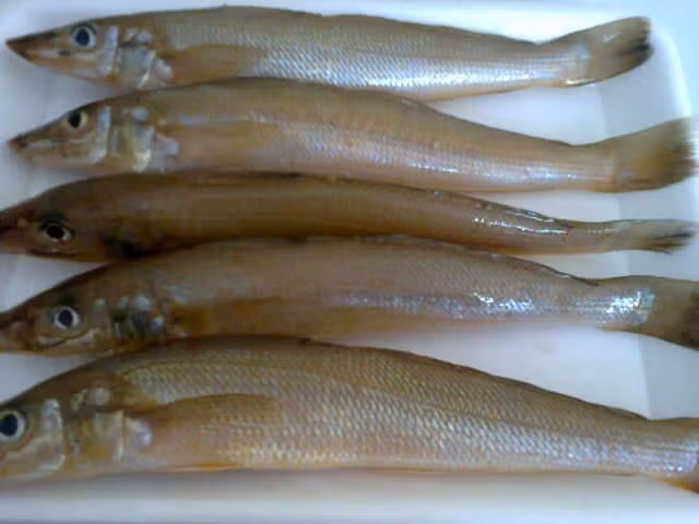 4. Cá đục kho nước dừa. Nguyên liệu: Cá đục, nước mắm, đường thốt nốt, dầu ăn, nước màu thốt nốt, hành tỏi, gia vị. Phi thơm hành tỏi rồi cho cá vào. Ảnh: Chuyenhaisantuoisong.com.