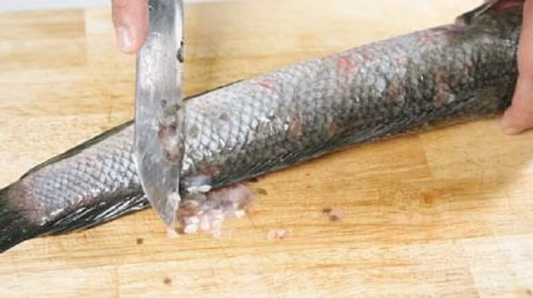 4. Cá lóc nướng ống tre. Nguyên liệu: Cá lóc, bánh tráng, bún. Rau sống: Chuối xanh, khế, dưa chuột, dứa, rau thơm các loại. Gia vị: Nước mắm, bột nêm, hạt tiêu, bột ngọt. Nước chấm: Mắm nêm, tỏi, đường, ớt. Ảnh: Monngon.tv.