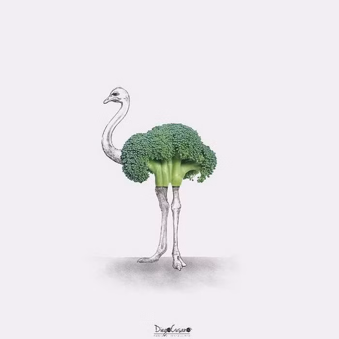 Đà điểu từ súp lơ.