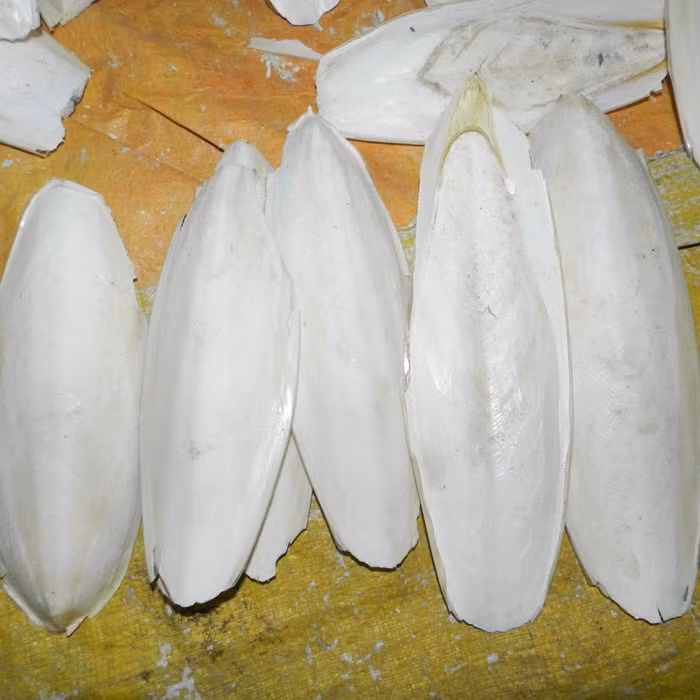 Ô kê sơn hoàn. Dùng mai mực 450g, màng mề gà 100g, hoài sơn 400g. Tất cả sấy khô tán thành bột mịn. Ngày uống 3 lần, mỗi lần 2-5g. Trị đau dạ dày thể tỳ vị hư hàn. Ảnh: Ocmuonhon.