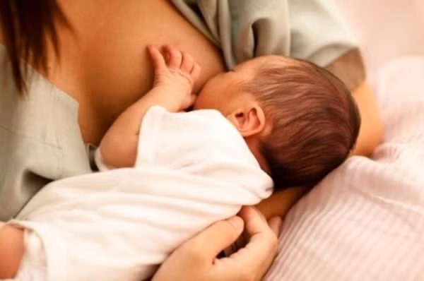 Chữa viêm tuyến vú, tắc tia sữa: Dùng lá sắc lấy nước uống. Liều dùng hằng ngày 20-40g lá tươi hoặc 10-15g lá khô. Nên phối hợp uống trong và giã nát đắp ngoài thì rất hiệu quả. Ảnh: Khỏe Plus.