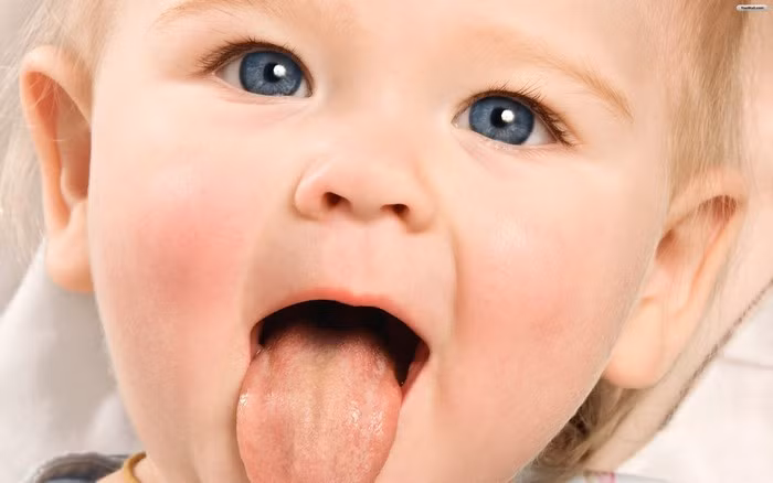 Chữa trẻ bị tưa lưỡi. Giã nát 10g lá rau sắng tươi sạch, vắt lấy nước rồi hòa với mật ong thấm vào bông hoặc miếng gạc sạch chà lên lưỡi, lợi và vòm họng trẻ, chỉ hai lần là trẻ có thể bú lại được bình thường. Ảnh: Nhikhoahongngoc.