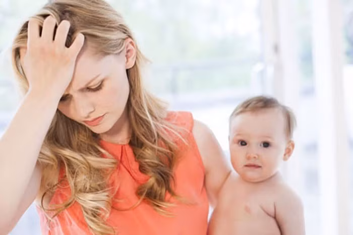 Rễ rau sắng cũng có tác dụng làm cho tử cung co bóp, nên nhiều người thường dùng nó cho chị em phụ nữ sau sinh hoặc là những người mới bị sảy thai. Ảnh: Healthplus.