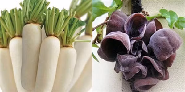 4. Củ cải trắng kỵ mộc nhĩ. Những enzym trong củ cải sẽ phản ứng hóa học với các chất sinh học có trong mộc nhĩ, khiến làn da bạn có thể gặp rắc rối. Vì thế, tránh hai thực phẩm này "gặp nhau" là một sự lựa chọn sáng suốt. Ảnh: baonga.com.