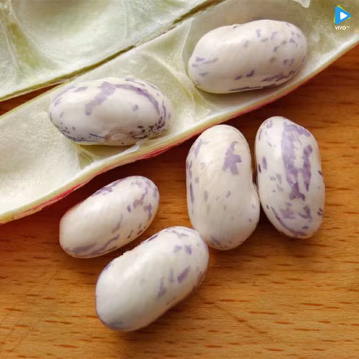 2. Đậu ngự rim nấm. Nguyên liệu: Nấm rơm, hành tây, đậu ngự bóc vỏ, đùi gà, nấm hương, mộc nhĩ, nước tương, muối, ớt, tiêu, đường. Phi thơm hành tây cùng 2 thìa canh dầu ăn. Sau đó cho hết thành phần nguyên liệu đã sơ chế và thái nhỏ vào xào. Ảnh: Vivo.vn.