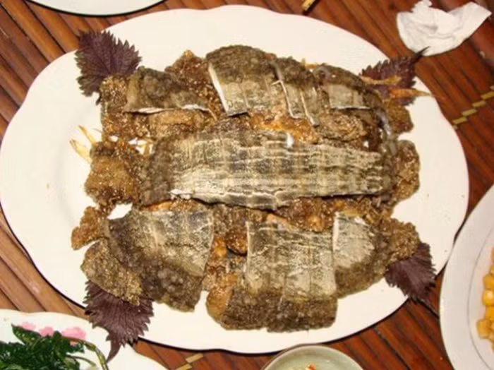 4. Thịt rùa đen, dạ dày lợn. Mỗi lần dùng 200g thịt rùa đen, 200g dạ dày lợn. Hai thứ này thái nhỏ cho thêm một ít muối và cho thêm 4 bát nước ninh nhỏ lửa cho đến khi chỉ còn ½ bát. Dùng ăn cả nước lẫn cái. Bài thuốc từ dạ dày này có công dụng trị bệnh viêm loét dạ dày mãn tính. Ảnh: Homnayangi.