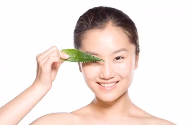 5. Thoa dịch nha đam lên lông mày: Dùng dịch nha đam thoa lên vùng lông mày rồi cũng để qua đêm, sau đó rửa lại với nước. Sau 1 tháng kiên trì sử dụng chắc chắn hiệu quả sẽ bất ngờ. Ảnh: maychieudanang.net.