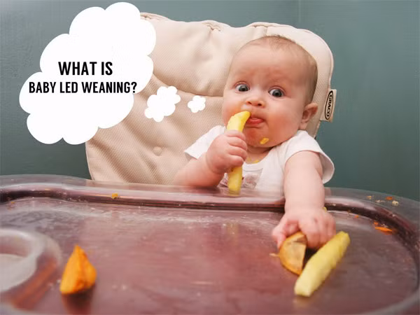 11. Cách thể hiện cảm xúc về món ăn thật ngộ nghĩnh. Ảnh: MarryBaby.vn.