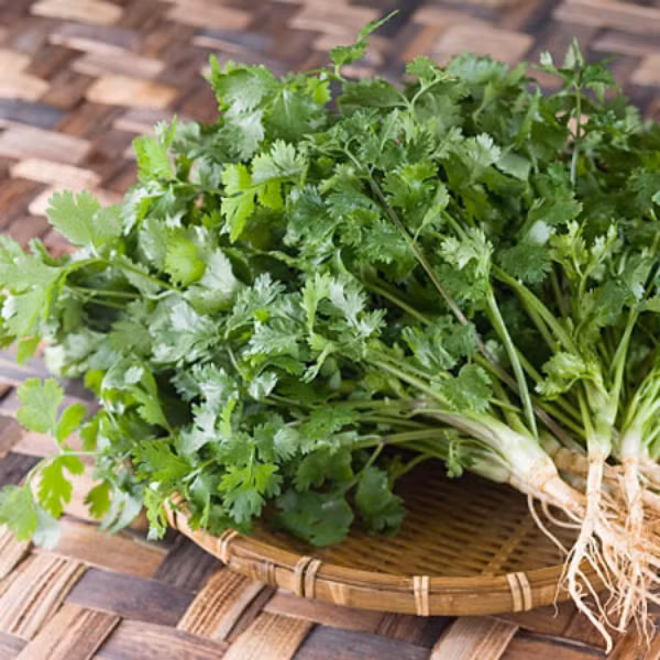 Rau mui ket hop voi nhung nguyen lieu nay, da trang sang, nam khong con