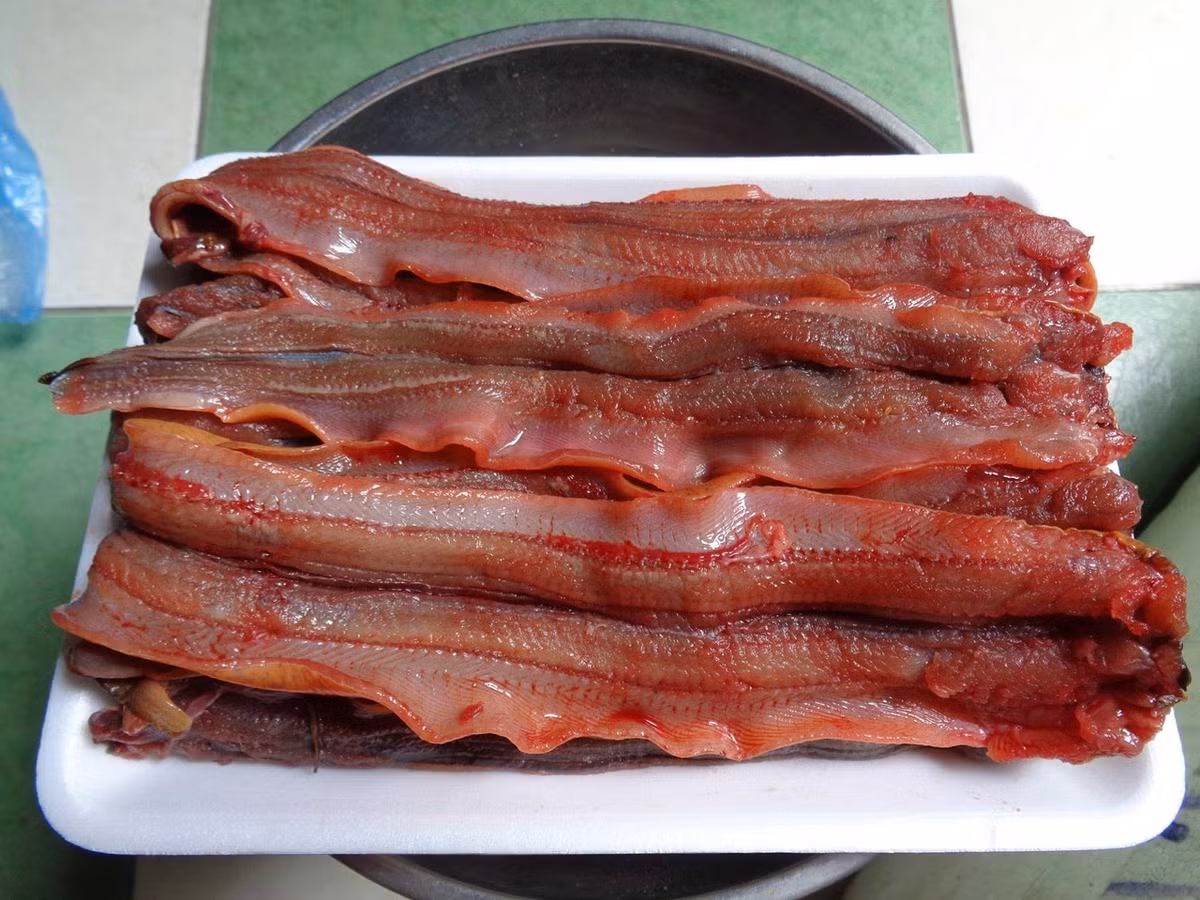 Lươn, rượu, giấm. Dùng 500g lươn, cho vào thêm rượu, giấm, một chút muối và náu chín kỹ ăn hết 1 lần trong ngày. Công dụng của bài thuốc là chữa lao phổi sốt nhẹ. Ảnh: Luonaviet.