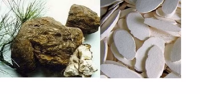 Trà và bạch linh (ảnh). Hoa trà 2g, trần bì 2g, bạch linh 5g. Ba thứ thái vụn hãm với nước sôi trong bình kín, sau 20 phút thì dùng được, uống thay trà trong ngày. Có công dụng kiện tỳ hóa thấp, lợi niệu trừ đàm. Ảnh: Trangpuclinh.