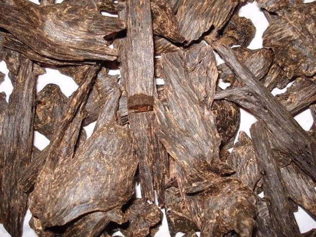 5. Nước hoa tự chế từ tinh dầu trầm hương và xạ hương. Nguyên liệu: Tinh dầu gỗ đàn hương (giọt), tinh dầu xạ hương (giọt), tinh dầu trầm hương (giọt), muỗng tinh dầu joioba. Ảnh: tramhuongtienphong.vn.