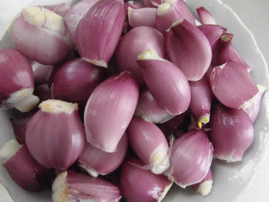 5. Món cháo hành củ. Để giúp khắc phục các triệu chứng bệnh viêm họng như: giảm sốt, trị ho và giảm đau rát họng mẹ Việt đừng quên dùng món cháo hành củ nhé.
