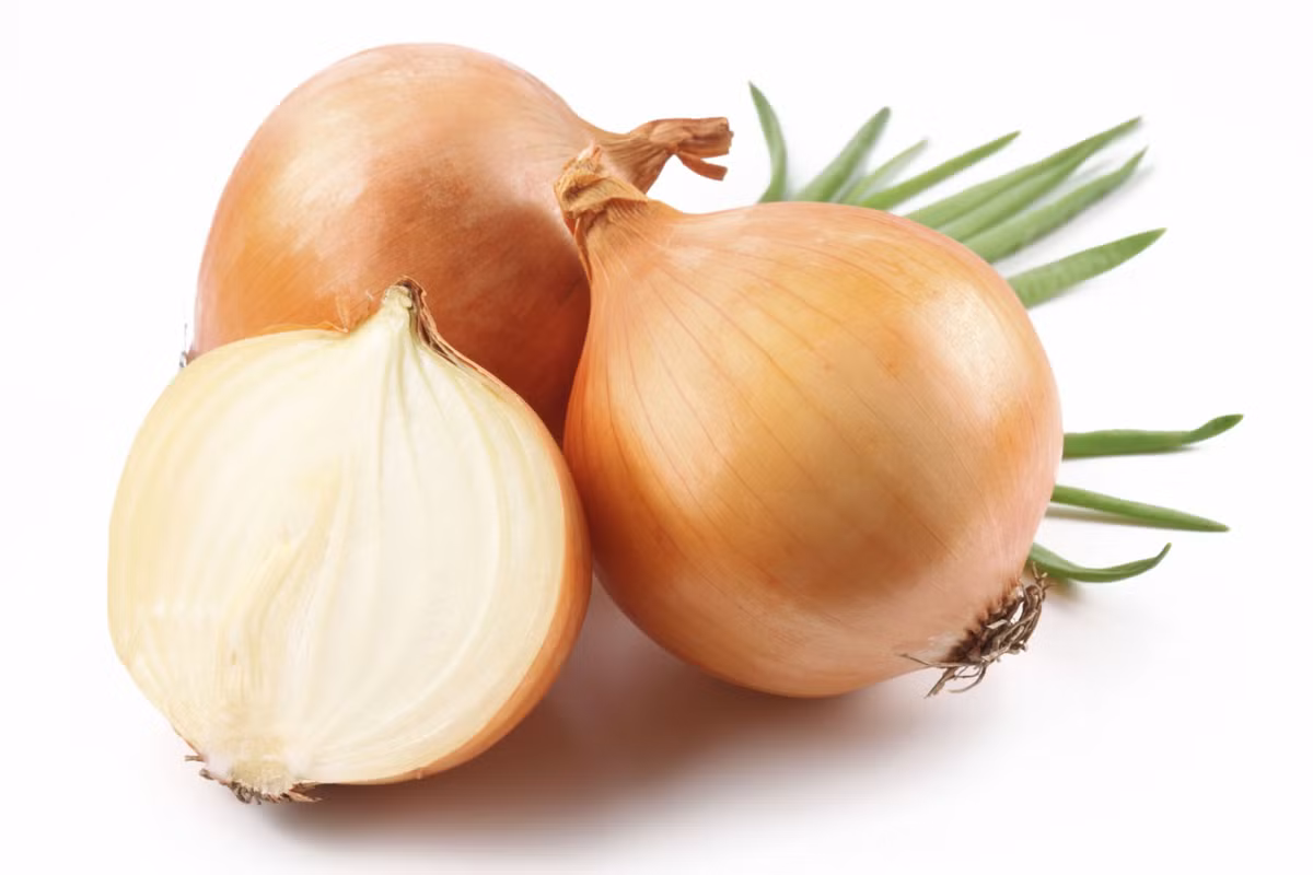 Hành tây: Ngay cả hành tây cũng có tính kháng khuẩn. Không chỉ vậy nó còn chứa vitamin C tăng cường khả năng miễn dịch giúp cơ thể khỏe mạnh hơn, chống lại ký sinh trùng, vi rút và vi khuẩn cự kỳ hiệu quả. Ảnh: bacsitrimun.com. (Thông tin trong bài chỉ mang tính chất tham khảo, trước khi sử dụng bài thuốc, vui lòng hỏi ý kiến bác sĩ).