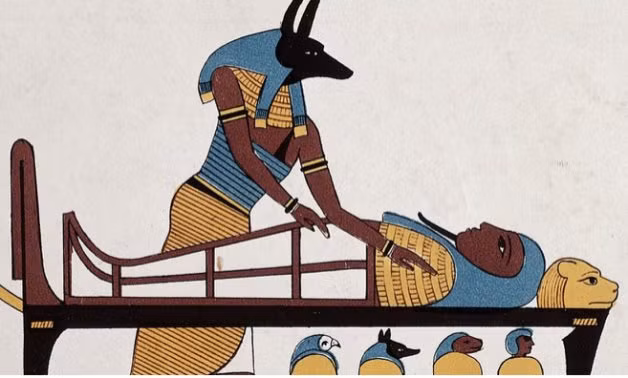 Do đó, hình ảnh thần Anubis với chiếc đầu chó xuất hiện rộng rãi trong các đền thờ, lăng mộ...