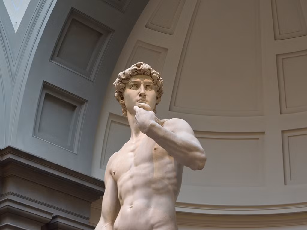 Bức tượng David của Michelangelo là tượng khỏa thân tạc theo phong cách Hy Lạp cổ điển. Theo đó, những nét đẹp trên cơ thể của người anh hùng David được thể hiện một cách tỉ mỉ với những điểm nhấn tinh tế ở phần xương chậu, ngực, cơ bụng và hông.