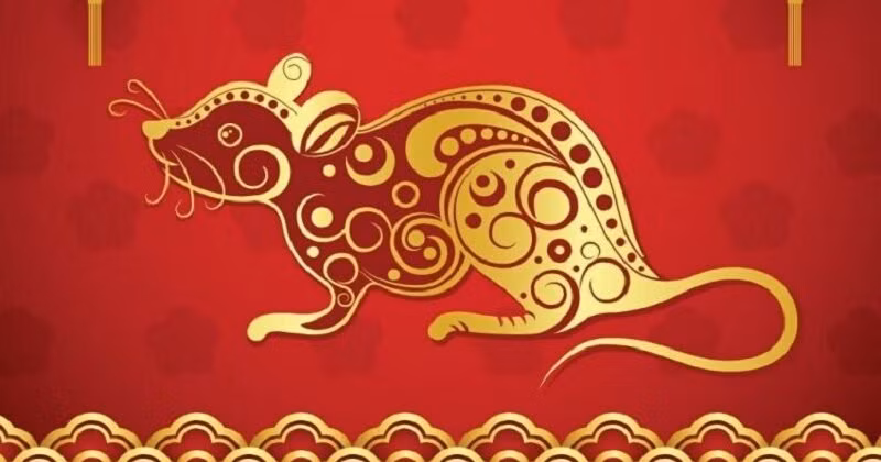 Tránh ăn uống quá độ, đặc biệt là đồ ăn cay nóng, dầu mỡ. Đảm bảo ngủ đủ giấc và giữ tinh thần thoải mái để tránh căng thẳng. 