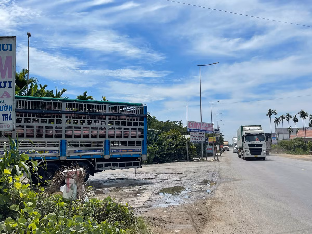 Quang Ngai: O nhiem tu cac diem dung nghi, tam gia suc