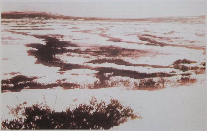 80 triệu cây cối trải rộng trên 2000 km vuông ở vùng Siberia xa xôi đã bị quét sạch cách đây hơn 110 năm trong một vụ nổ lớn không rõ nguyên nhân. Sự kiện Tunguska này đã thách thức các nhà khoa học song đã hơn 1 thế kỷ trôi qua, liệu vụ nổ là hậu quả của một sao băng rơi xuống Trái Đất hay 1 vụ phun trào núi lửa hay thứ gì lạ lùng khác vẫn là một câu hỏi.