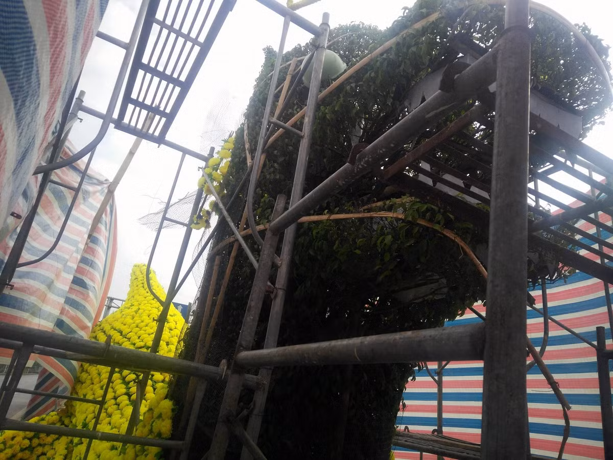 Liên quan đến việc Công ty TNHH Một thành viên Công viên cây xanh Hải Phòng gắn hoa nhựa lên cây xanh hình rồng đang được dư luận và báo chí quan tâm, UBND thành phố Hải Phòng vừa có văn bản yêu cầu Sở Xây dựng khẩn trương kiểm tra cụ thể việc trang trí nêu trên; trong trường hợp không đảm bảo yêu cầu về kỹ thuật, mỹ thuật phải chỉ đạo ngay Công ty TNHH Một thành viên Công viên cây xanh Hải Phòng khẩn trương tháo dỡ, khôi phục lại hiện trạng ban đầu.