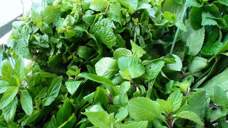 Ảnh minh họa. Ảnh minh họa.