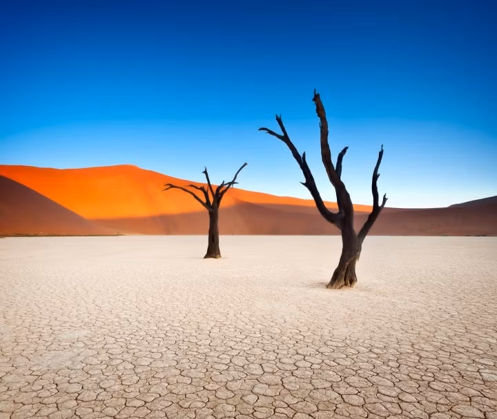 Cồn cát đỏ, bầu trời xanh khiến "khu rừng chết" Deadvlei khoác lên người vẻ đẹp huyền ảo.