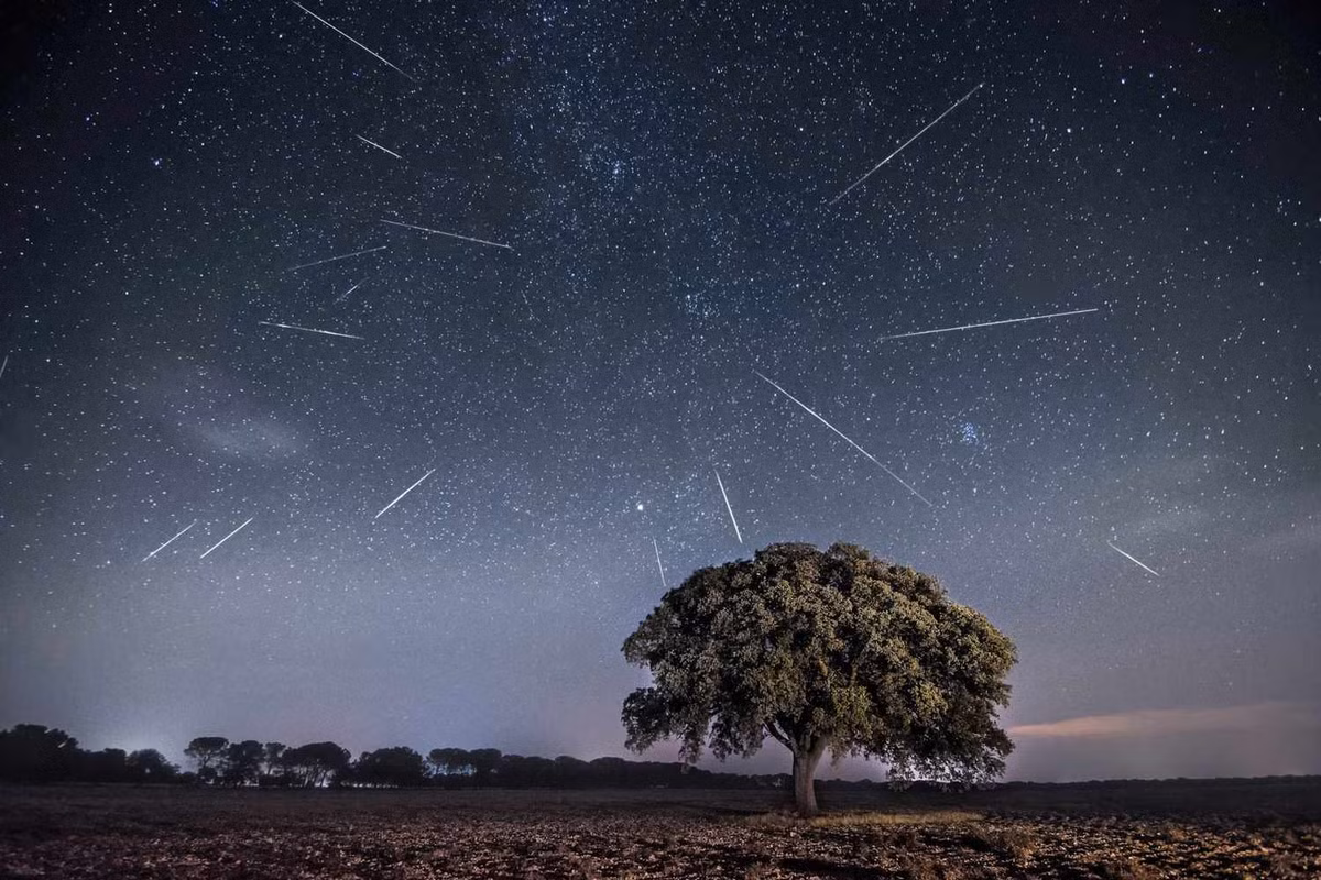 Trận mưa sao băng Perseids sẽ đạt cực điểm vào đêm 12, rạng sáng 13/8 với khoảng 80 sao băng mỗi giờ.