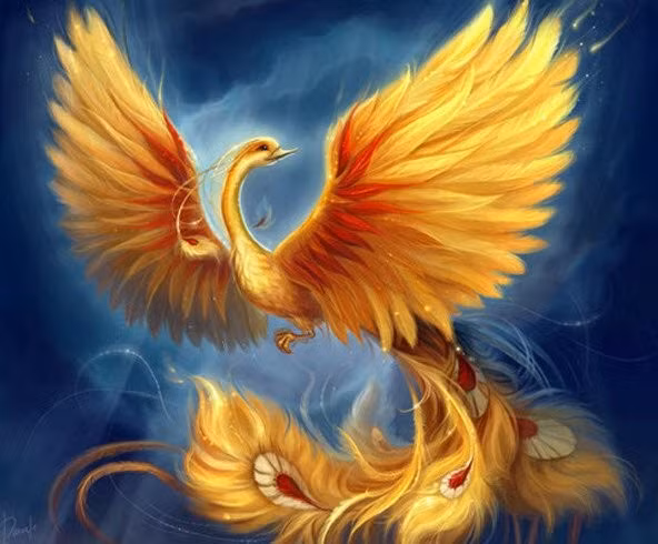 Phượng hoàng có tuổi thọ rất lớn, có thể sống tới năm 500 tuổi. Chúng được coi là biểu tượng của Mặt Trời, sự đổi mới và tái sinh.