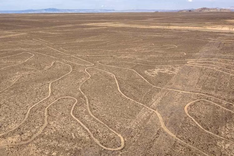 Các nhà nghiên cứu tin rằng, những đường kẻ Nazca do nền văn minh Nazca từng phát triển rực rỡ ở Nam Mỹ tạo ra.