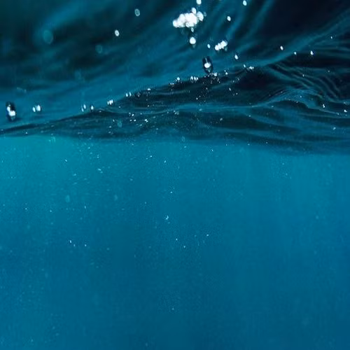 Trong những năm sau đó, âm thanh “bloop” được ghi lại rất nhiều lần ở khu vực gần Xích đạo thuộc biển Thái Bình Dương. Chuỗi âm thanh bí ẩn này thường kéo dài trong khoảng 1 phút và được thu trên rất nhiều cảm biến âm cùng lúc.