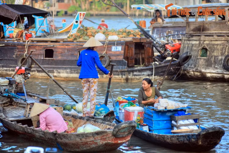 6. Hậu Giang. Cũng như tỉnh Tiền Giang, tên gọi tỉnh Hậu Giang được đặt theo một con sông lớn của miền Tây là sông Hậu. Dòng sông này có độ dài vào khoảng 230 km. Ảnh: Chợ nổi Ba Ngàn họp trên kênh Ba Ngàn, TP Ngã Bảy, tỉnh Hậu Giang.
