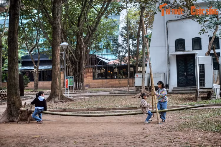 Cùng với các trưng bày thường xuyên, Bảo tàng có hàng loạt trưng bày tạm thời, những hoạt động trình diễn văn hóa phi vật thể, các chương trình hoạt động giáo dục trải nghiệm…