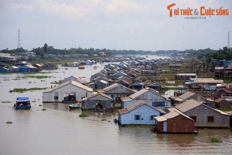 Làng bè trên sông Hậu ở thành phố Châu Đốc, tỉnh An Giang.