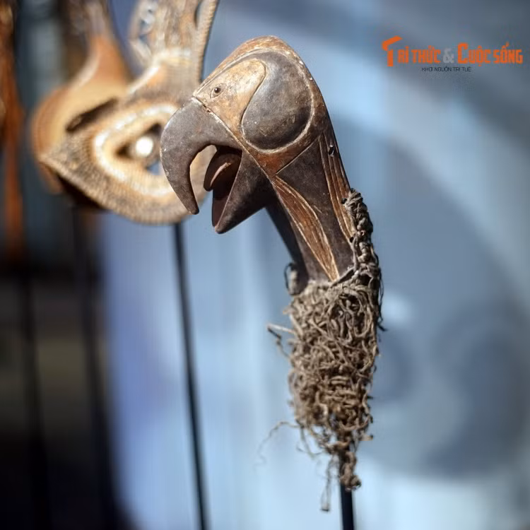 Mặt nạ hình đầu chim làm bằng gỗ, sợi thực vật, phẩm màu, mắt làm bằng vảy ốc xà cừ của cư dân bản địa ở New Ireland, Papua New Guinea.