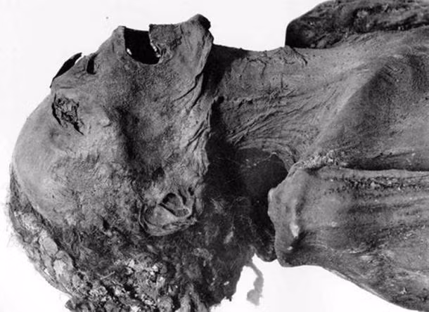 Pentewere là con trai của pharaoh Ai Cập Ramses III. Vị hoàng tử này đã âm mưu giết cha để chiếm ngôi nhưng không thành công.