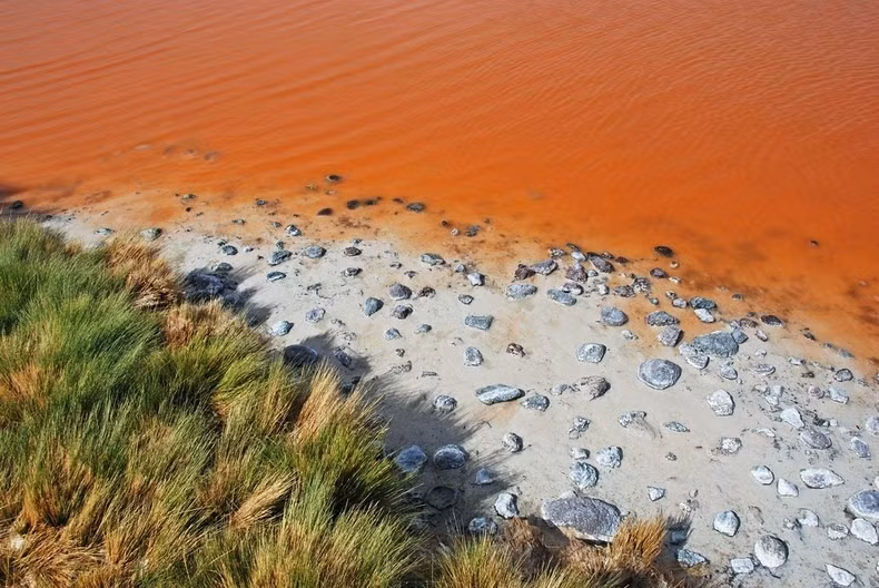Nguyên nhân khiến hồ nước Laguna Colorada có màu nước độc đáo được xác định là do một loại tảo và trầm tích lắng đọng phía dưới.